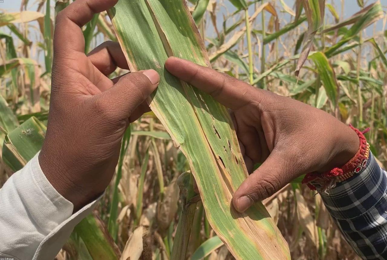 Traceability in Agro Commodities: Why It Matters for EU Importers in 2026