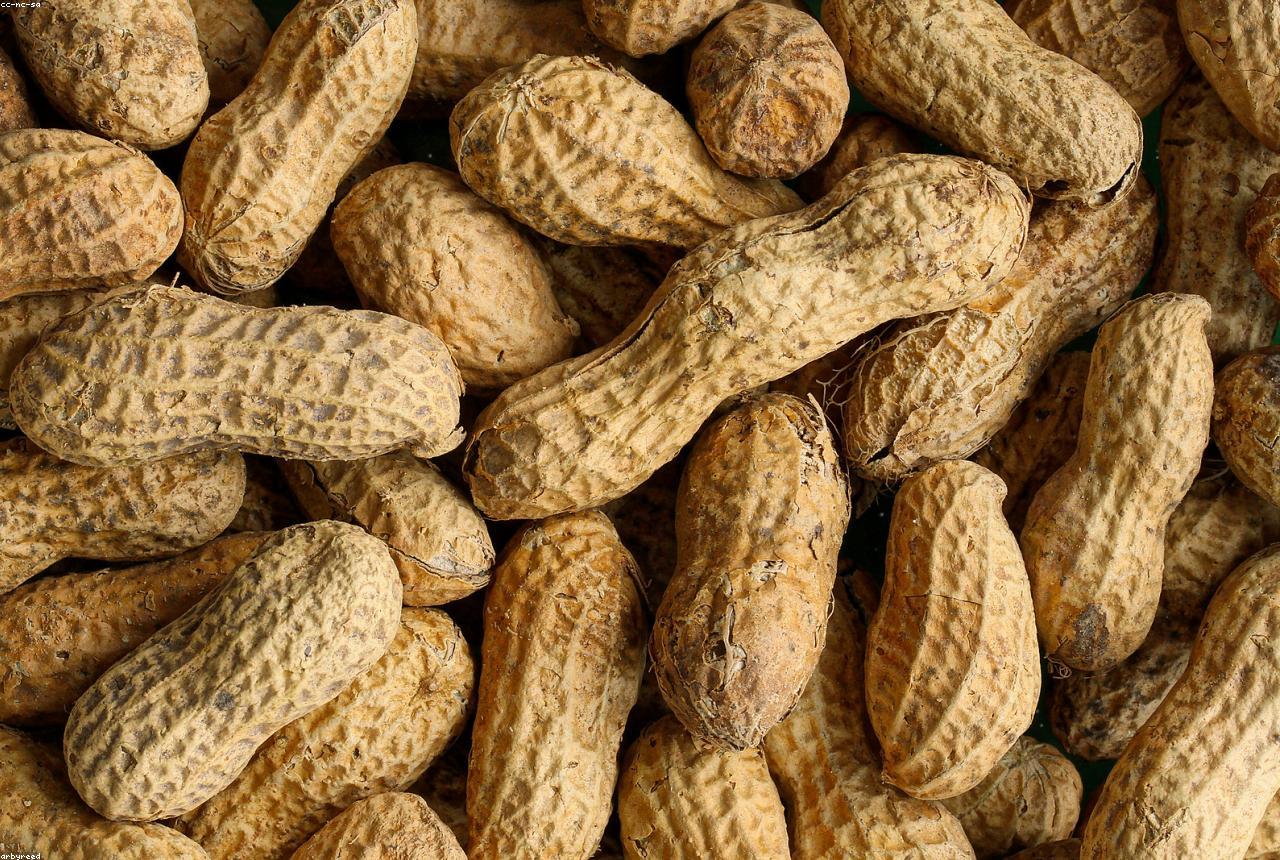 Groundnuts
