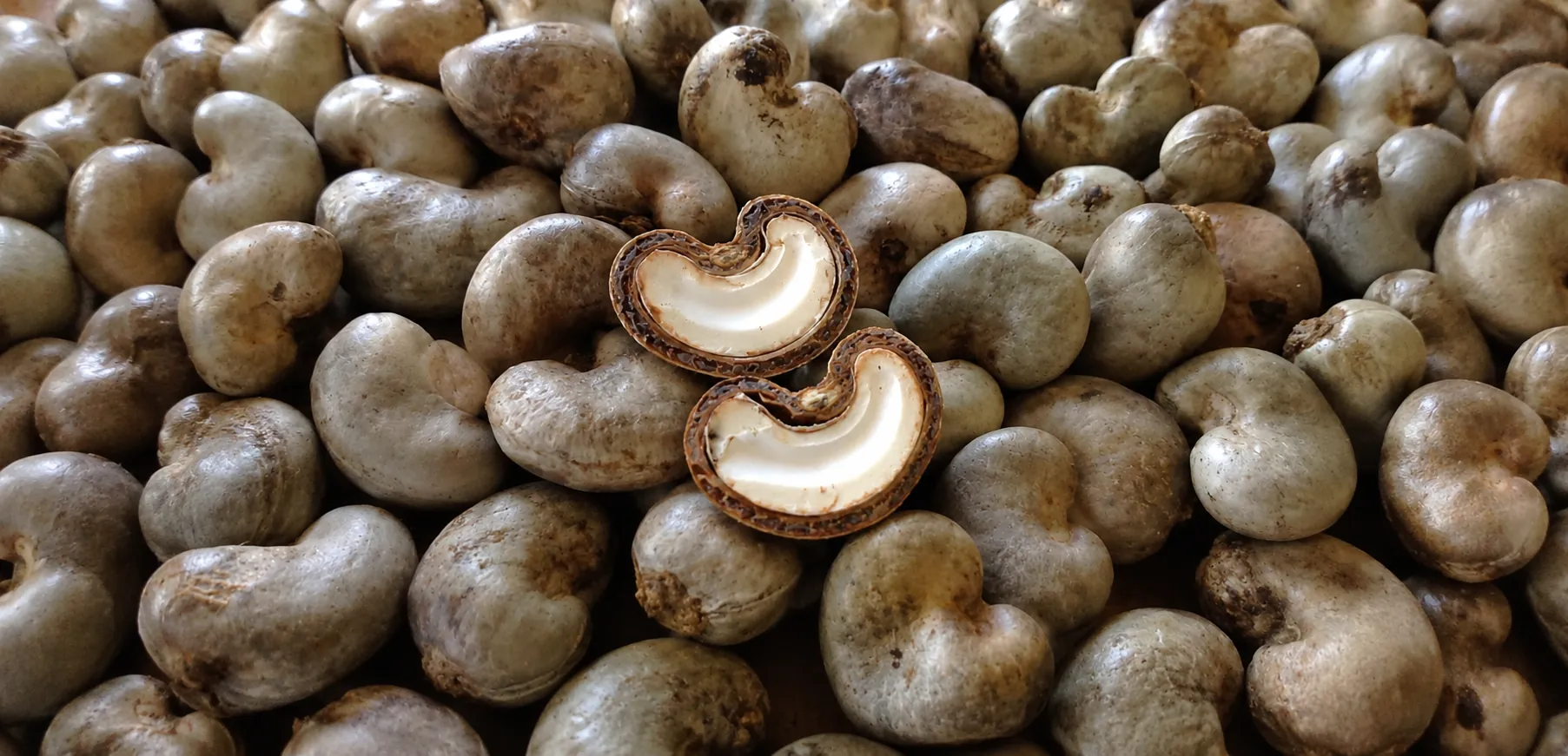 Premium commodities,
sourced at origin.