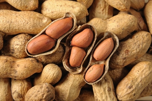 Groundnuts (Peanuts)