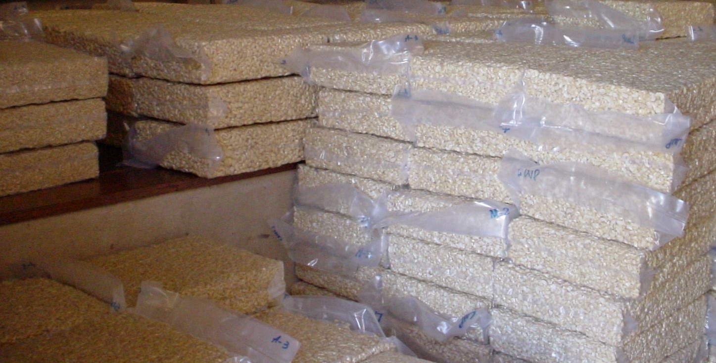 Cashew Kernels